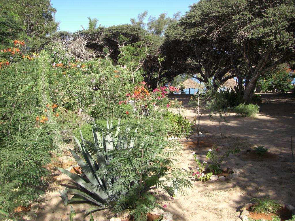 ホテル Le Jardin De L'Isle イファチ エクステリア 写真